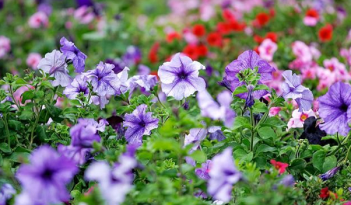    Фото: сайт мэра Москвы