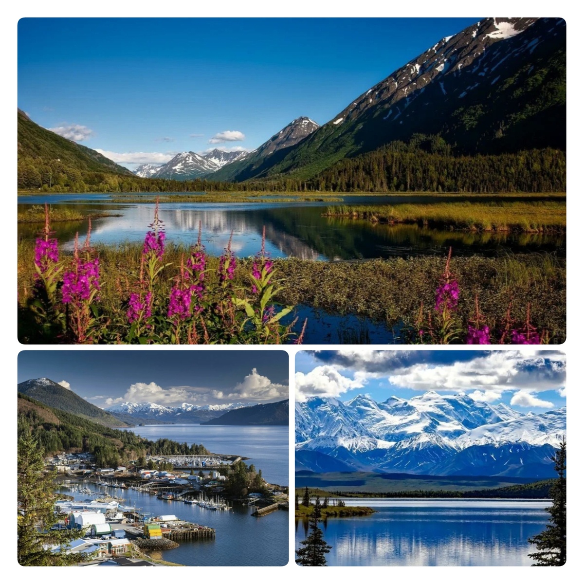 Коллажи в статье авторские