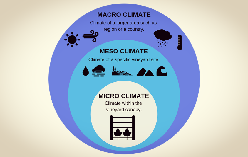 Макроклимат, мезоклимат, микроклимат