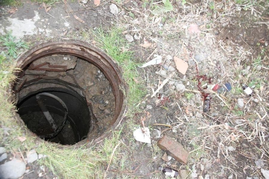 Место, где преступники спрятали труп Ксении Катаргиной / фото: СК России