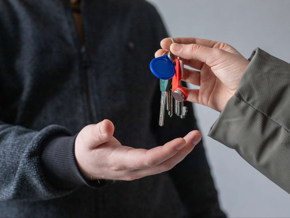 Фото: Лига студентов РТ