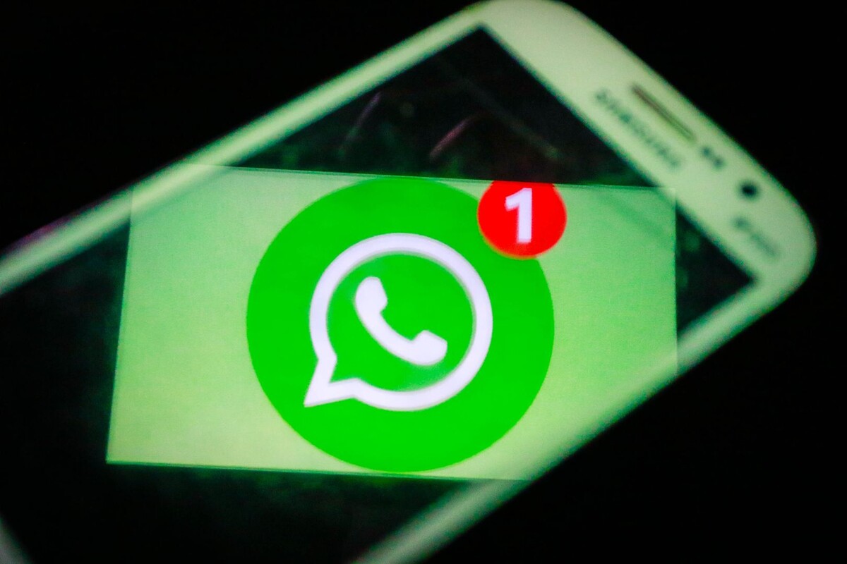     / Источник: © Global Look Press