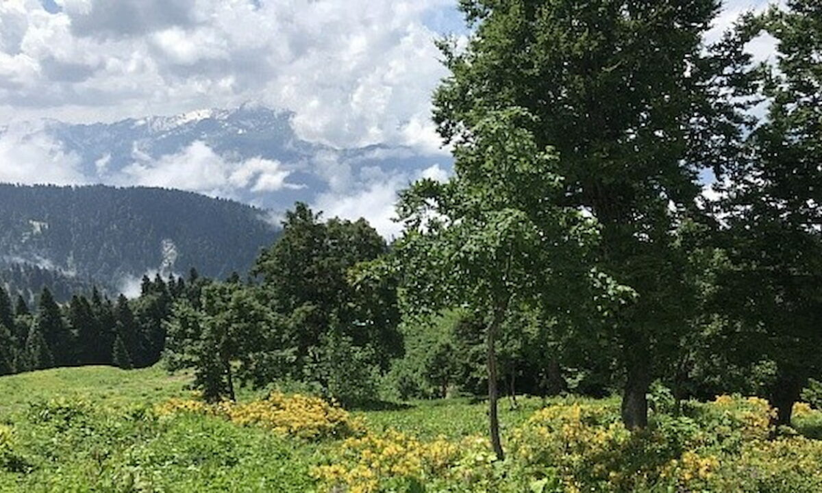    Фото пресс-службы администрации Сочи