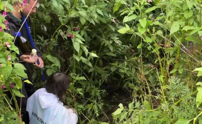    © Эконадзор Ленобласти