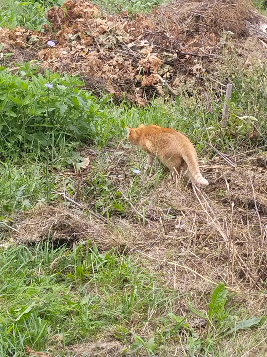 Ага, насмотрелась на Фынчика и скакала!😁