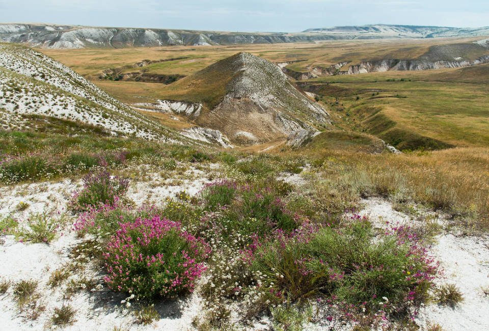   Фото: комитет природных ресурсов, лесного хозяйства и экологии Волгоградской области.