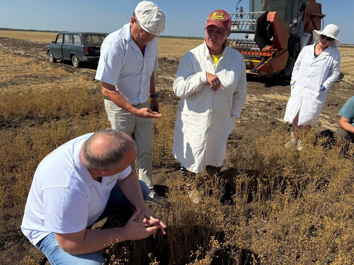 Министр сельского хозяйства Крыма побывал на уборке льна