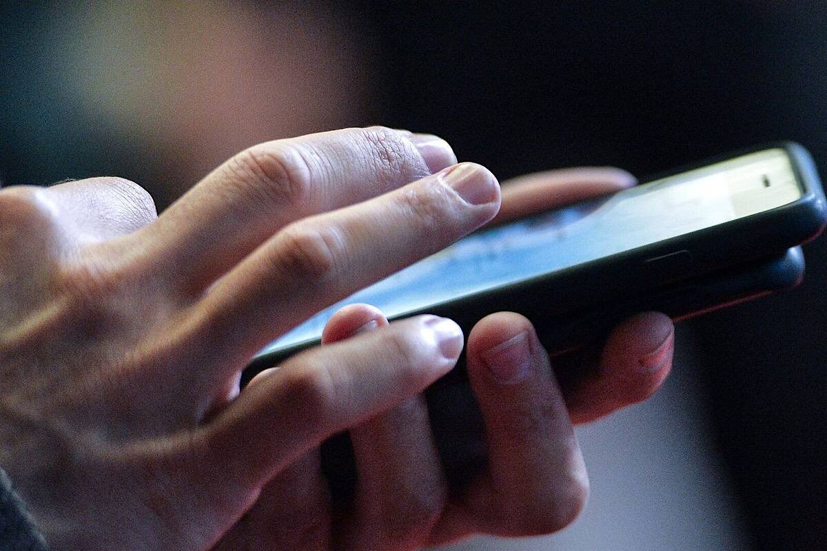    Фото: Владимир Песня, источник: РИА Новости