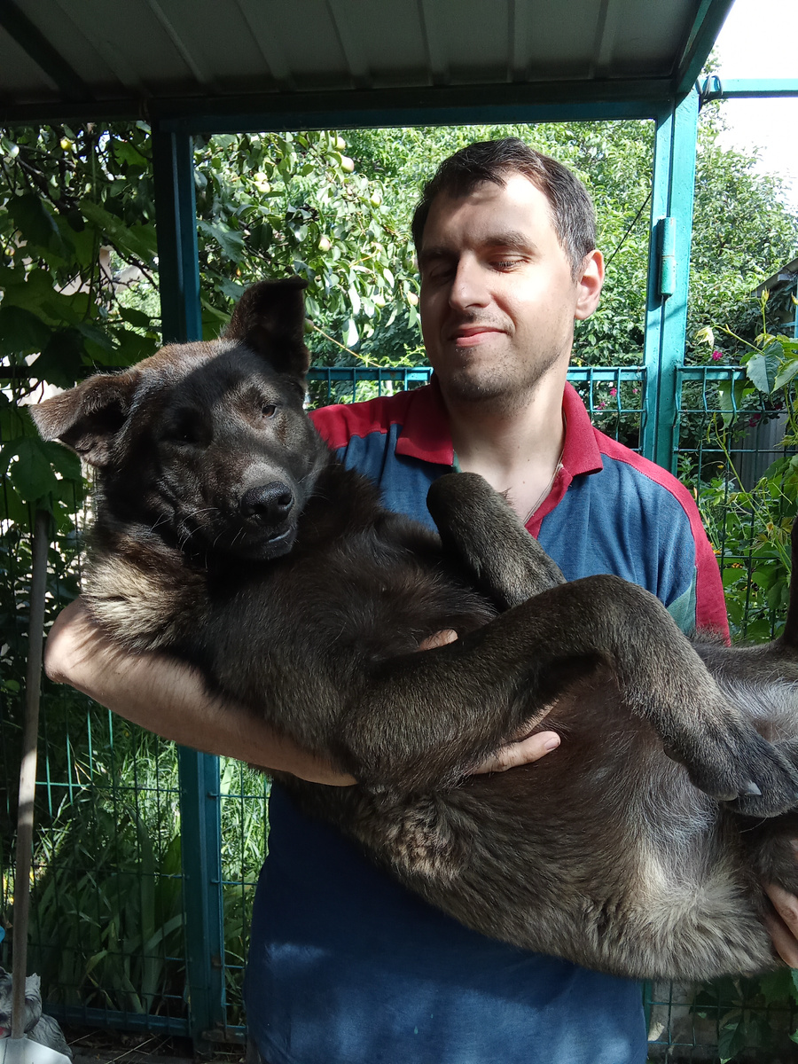 Это наш малыш Медок