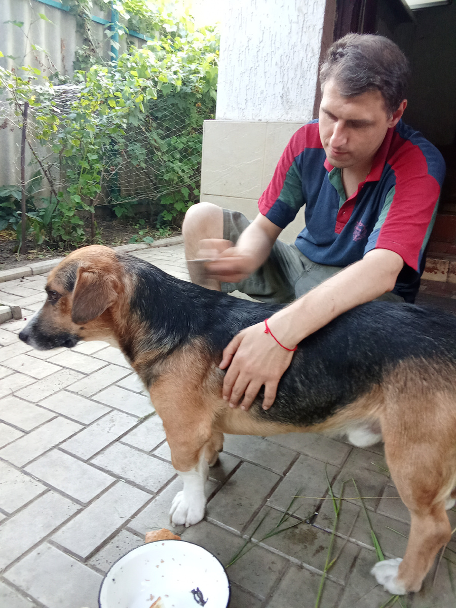 Это наш Бигуська.