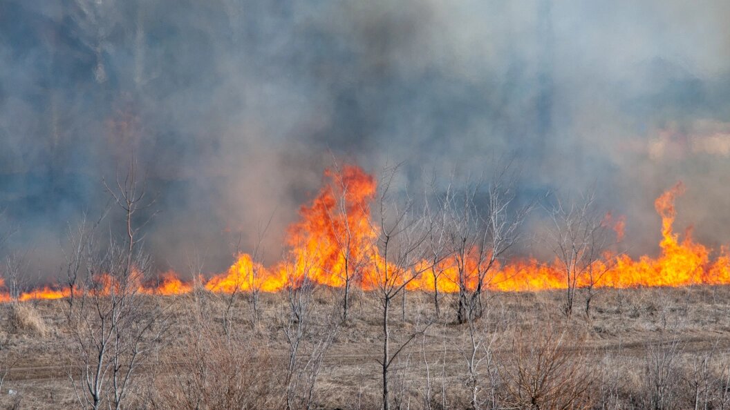    Фото: Svetlana Vozmilova/Globallookpress