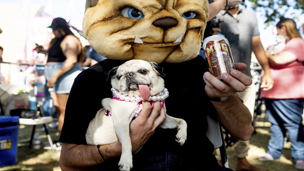     Фото: Noah Berger/Associated Press/East News