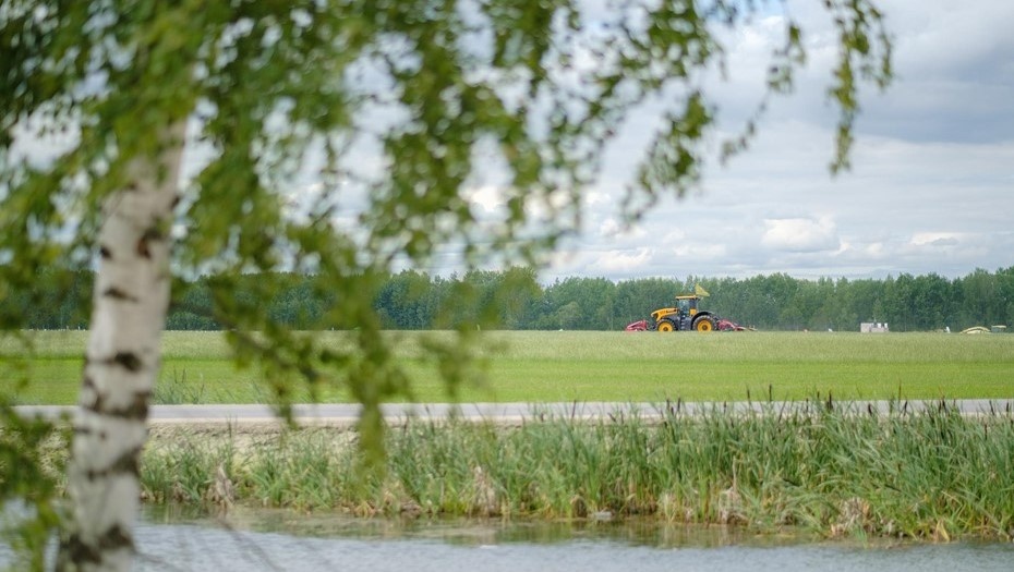    Автор фото: Беликов Валентин