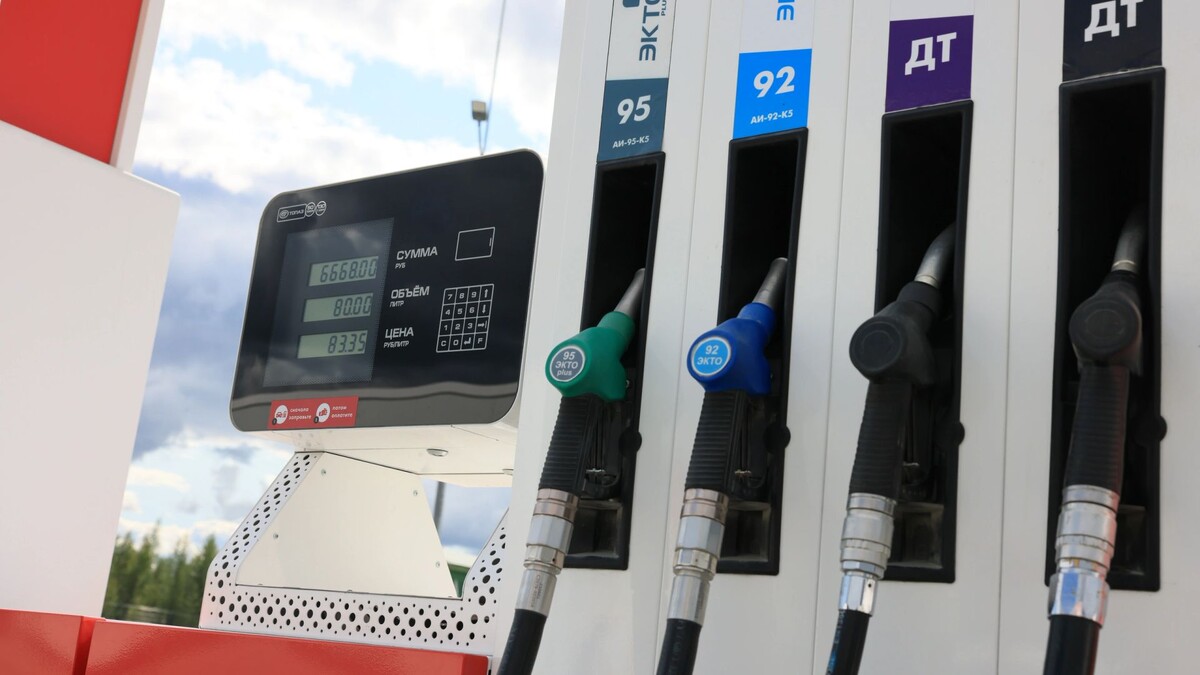    Фото: Федор Воронов / «Ямал-Медиа»