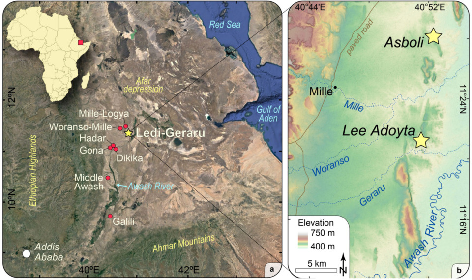   Brian Villmoare et al. / Nature, 2025