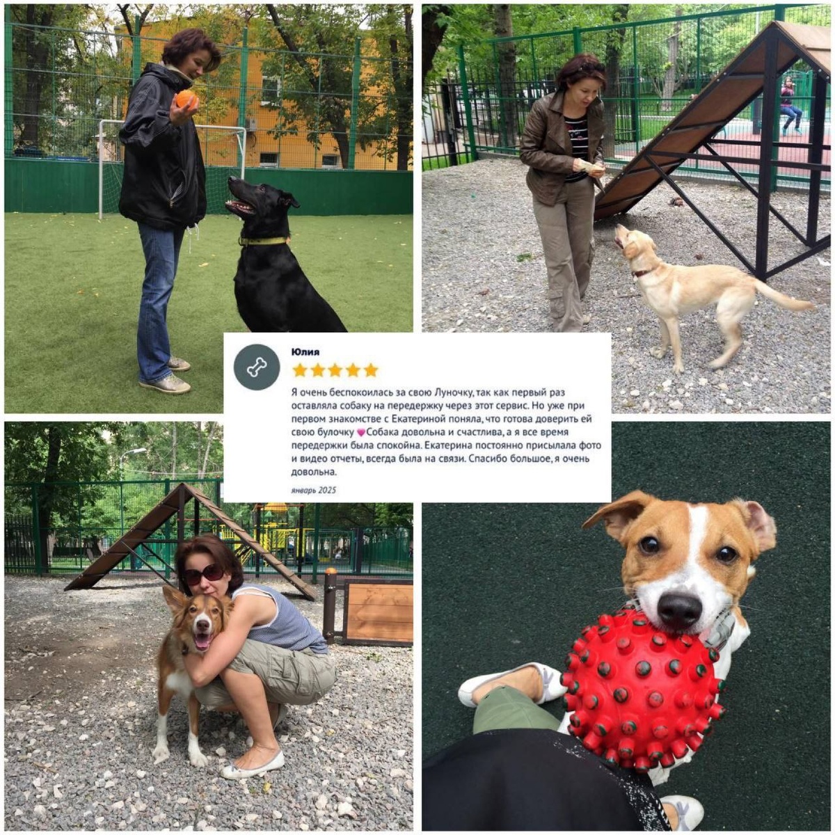 Фото сервиса Догси