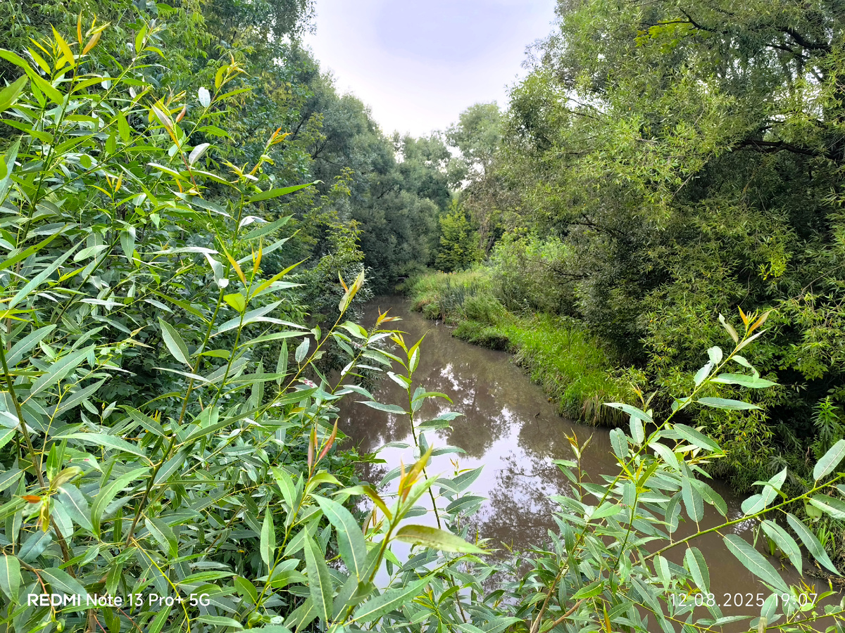 Река Чермянка фото моё.