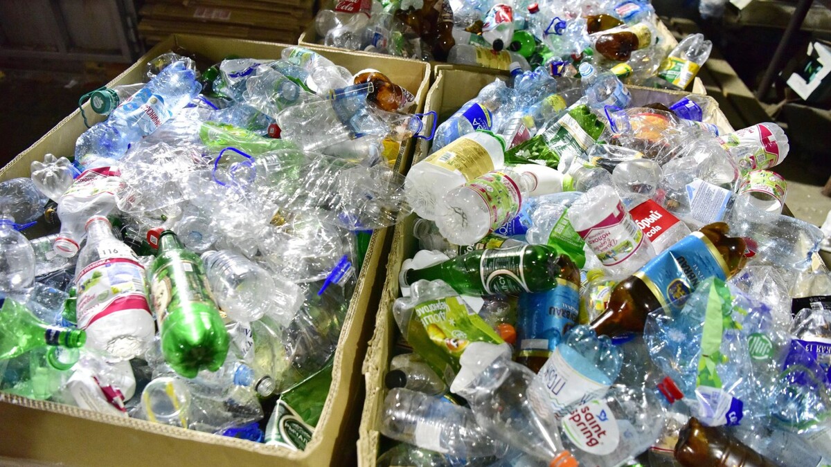    Фото: Андрей Ткачев / «Ямал-Медиа»