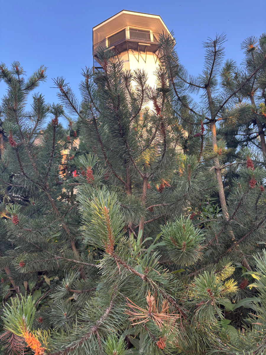 На маяк в гостинице можно подняться)