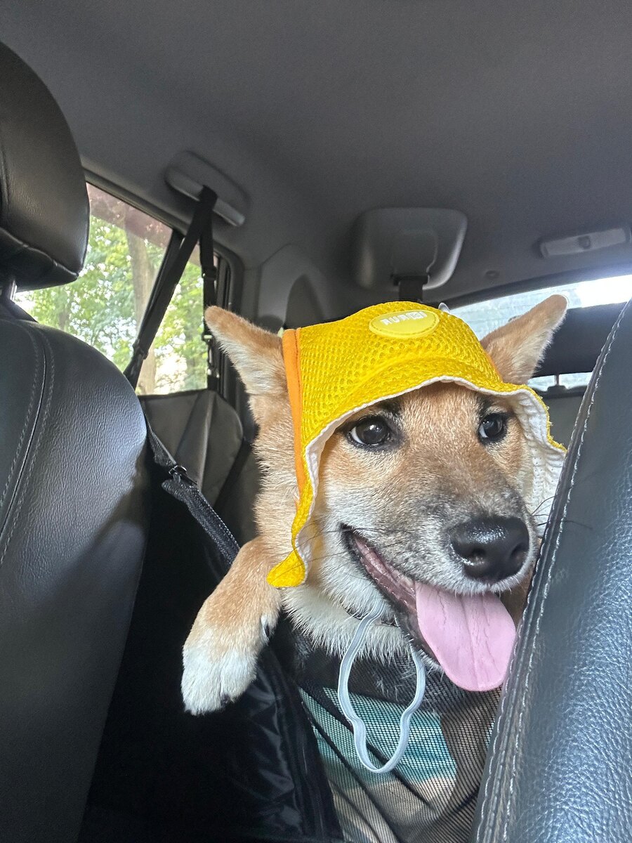 Охлаждающая панамка