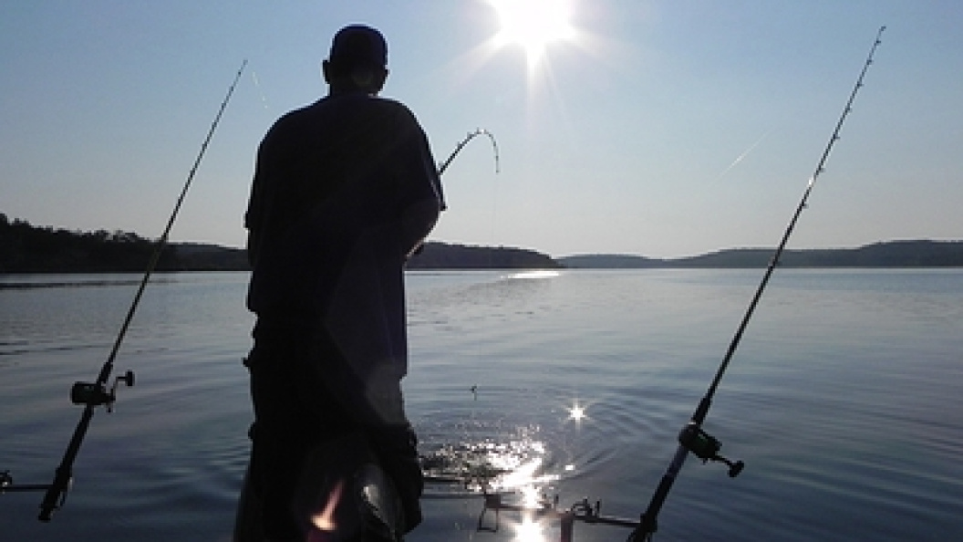    Brent Frazee/Globallookpress