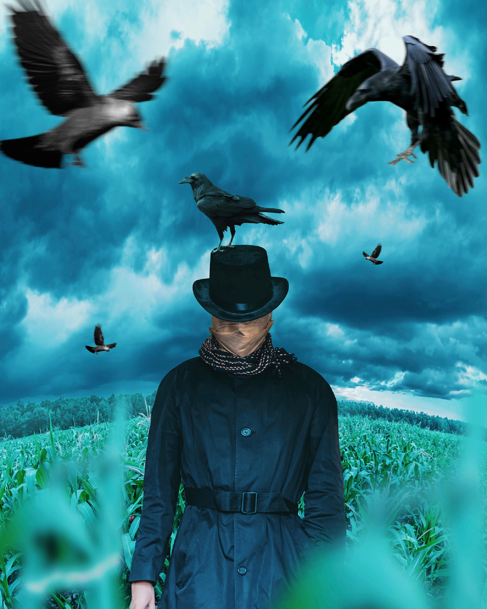 Автор: Алексей Моисеев / @partyzzzan