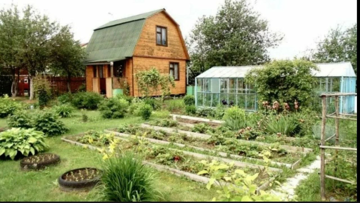 Источник: https://tgstat.ru/en/channel/C7uKeZ6Yt7g5ODg6/2486