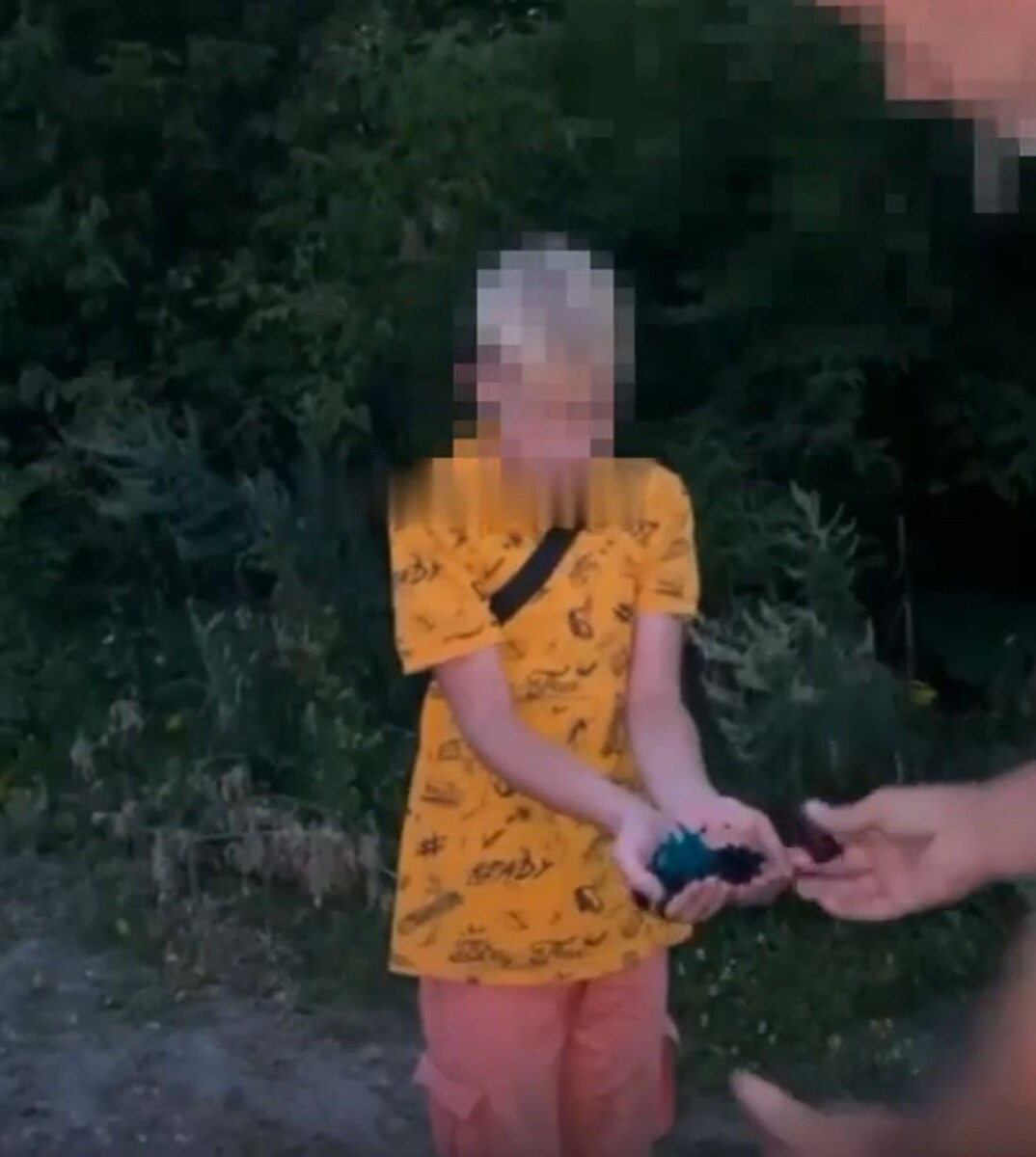 Фото: стоп-кадр из видео