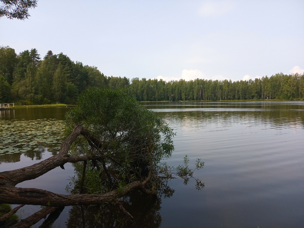 Тохколодское (Юкковское) озеро. Фото автора