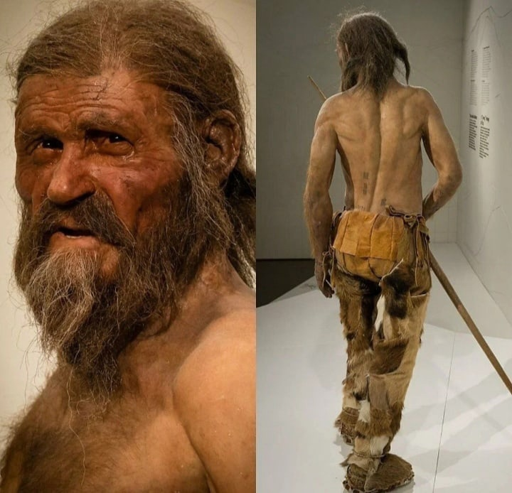 (фото из открытых источников)