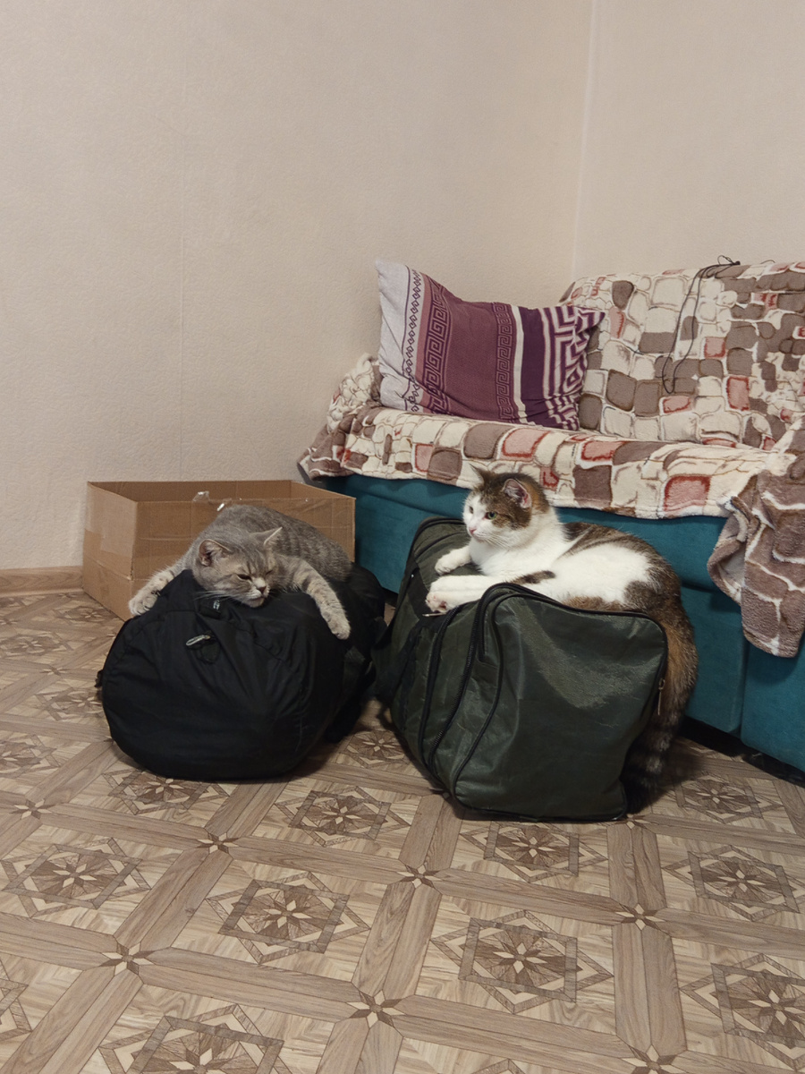 Фото автора. Тут мне кажется они собрались в отпуск. Каждый выбрал себе свой гардероб.