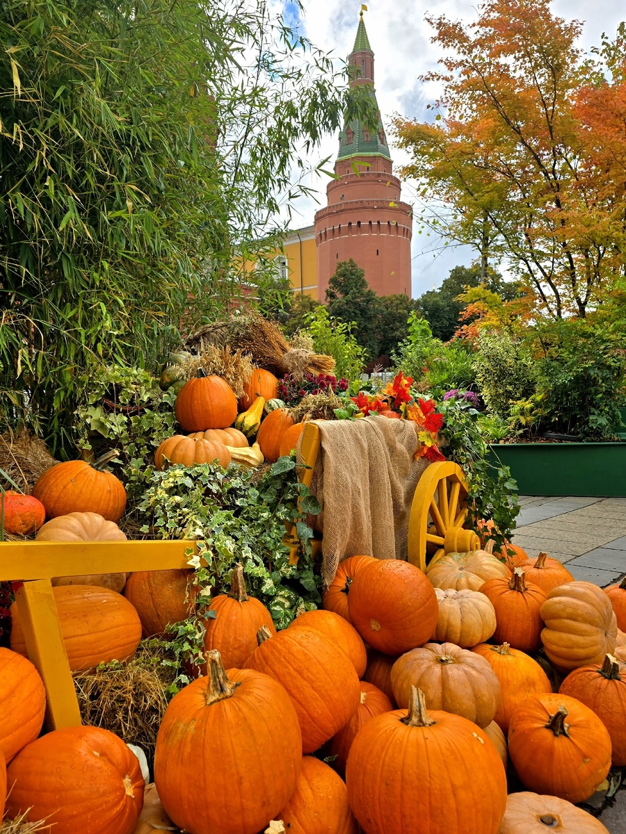 Осень и тыквы у Кремля. Фото из открытых источников интенет