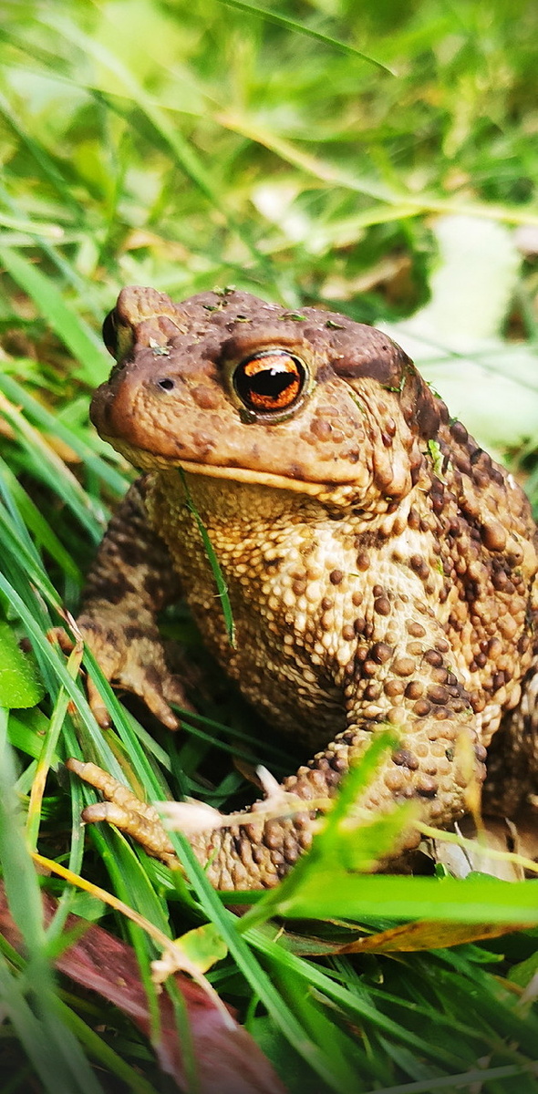 Лёшина фотка, сразу понятно. Только он так умеет фотографировать и обрабатывать.Не то что я — как лопата😁(с)