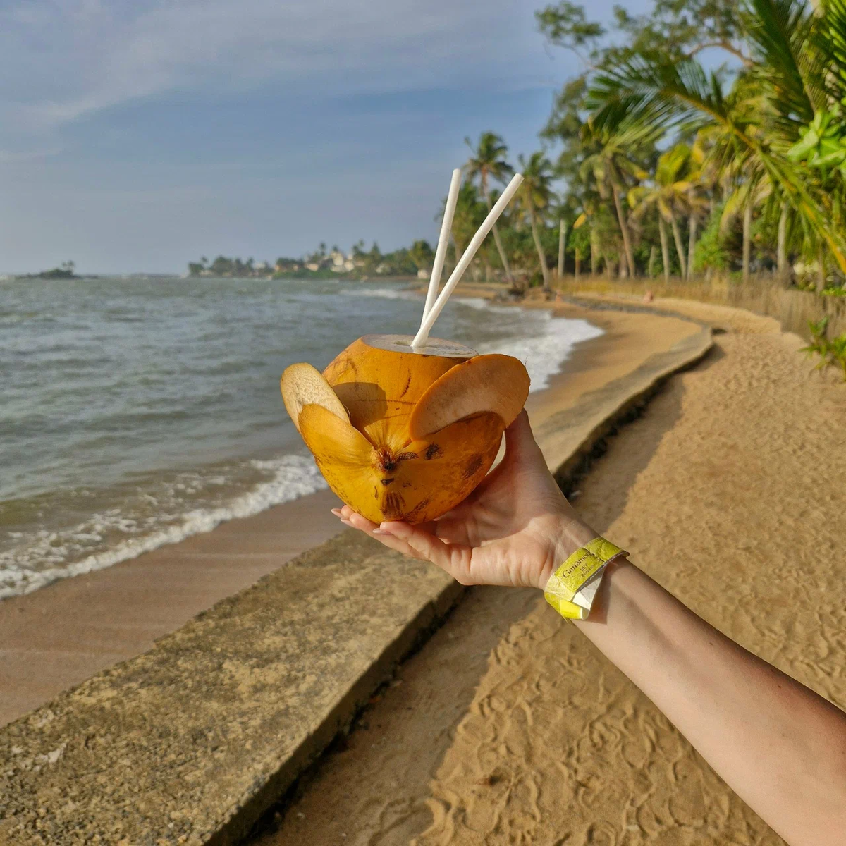 Проведите волшебный Новый год на райских пляжах Шри-Ланки!