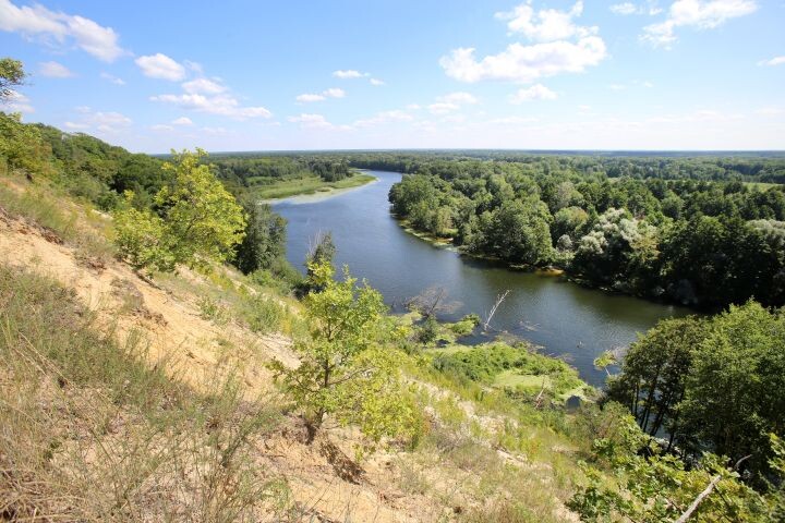    Фото: Игорь Филонов