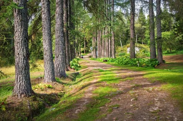 Фото yulenochekk.istock