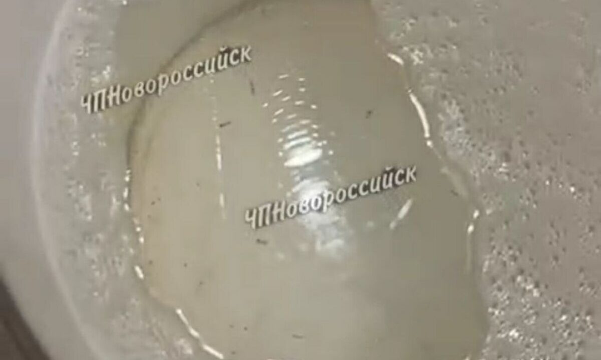    Фото t.me/chpnvrsk_official