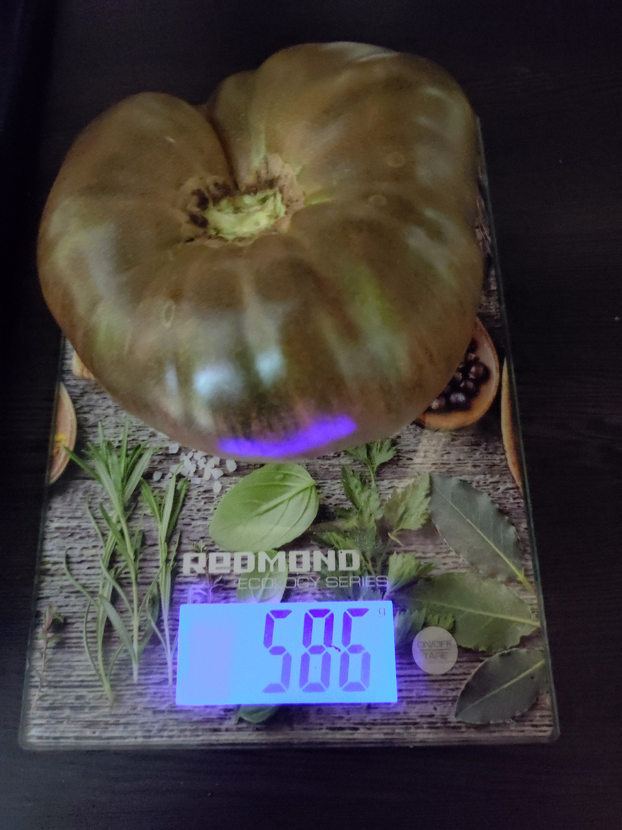 Это самый большой