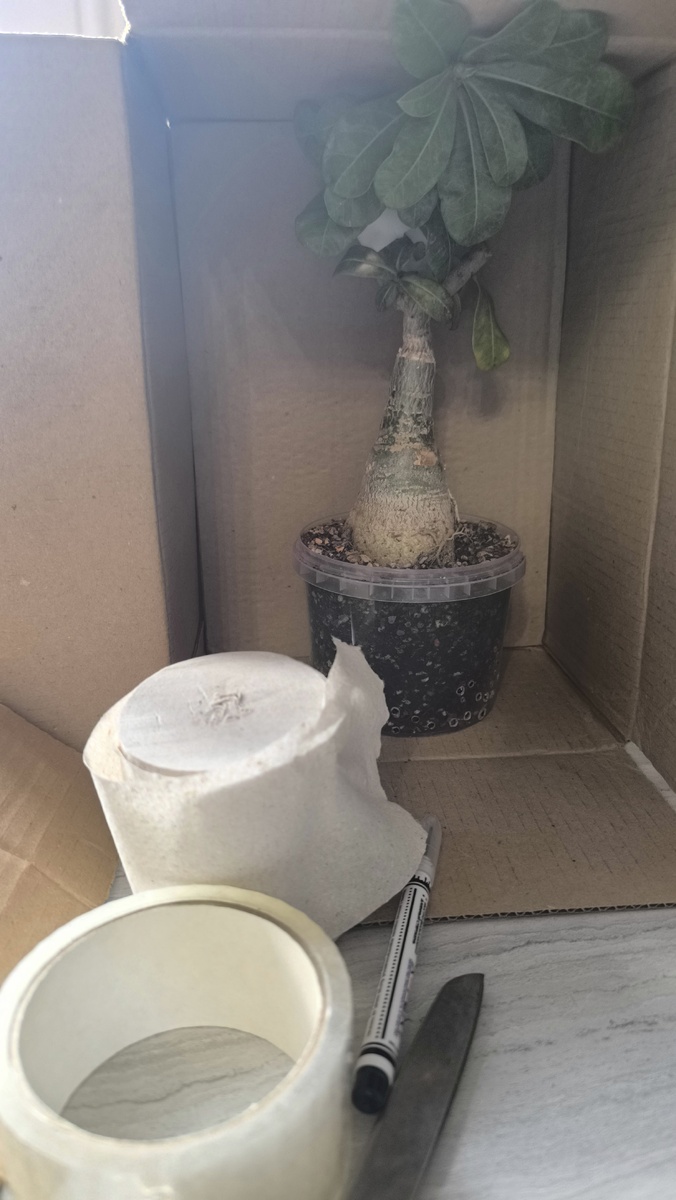 Здесь первая коробка оказалась немного маловата, в итоге взяла чуть выше.