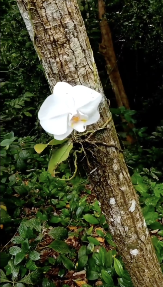 Фото из инета