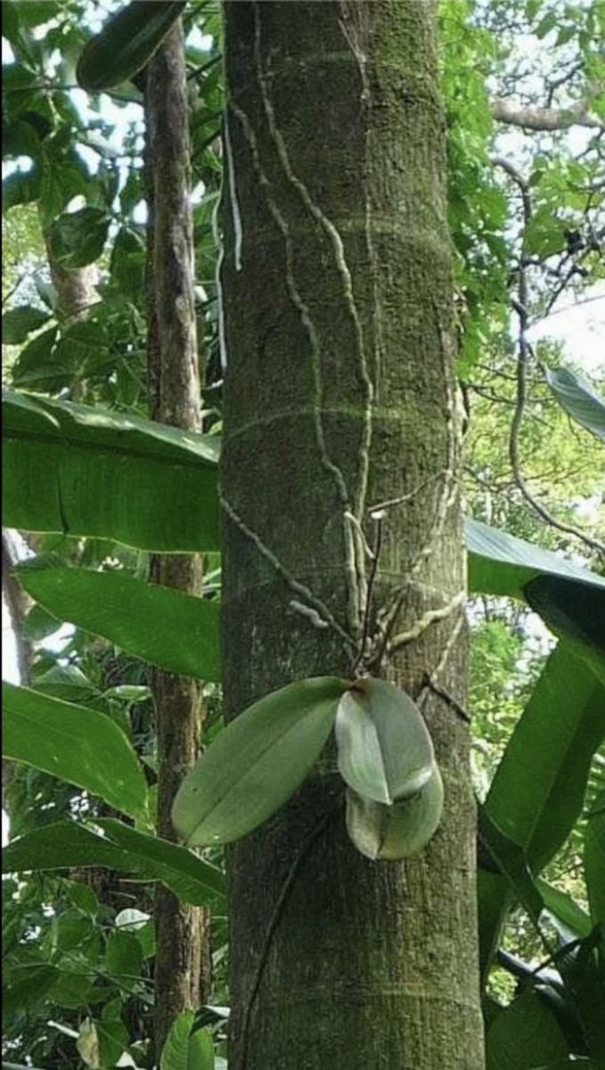 Фото из инета