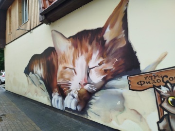 Котомурал
