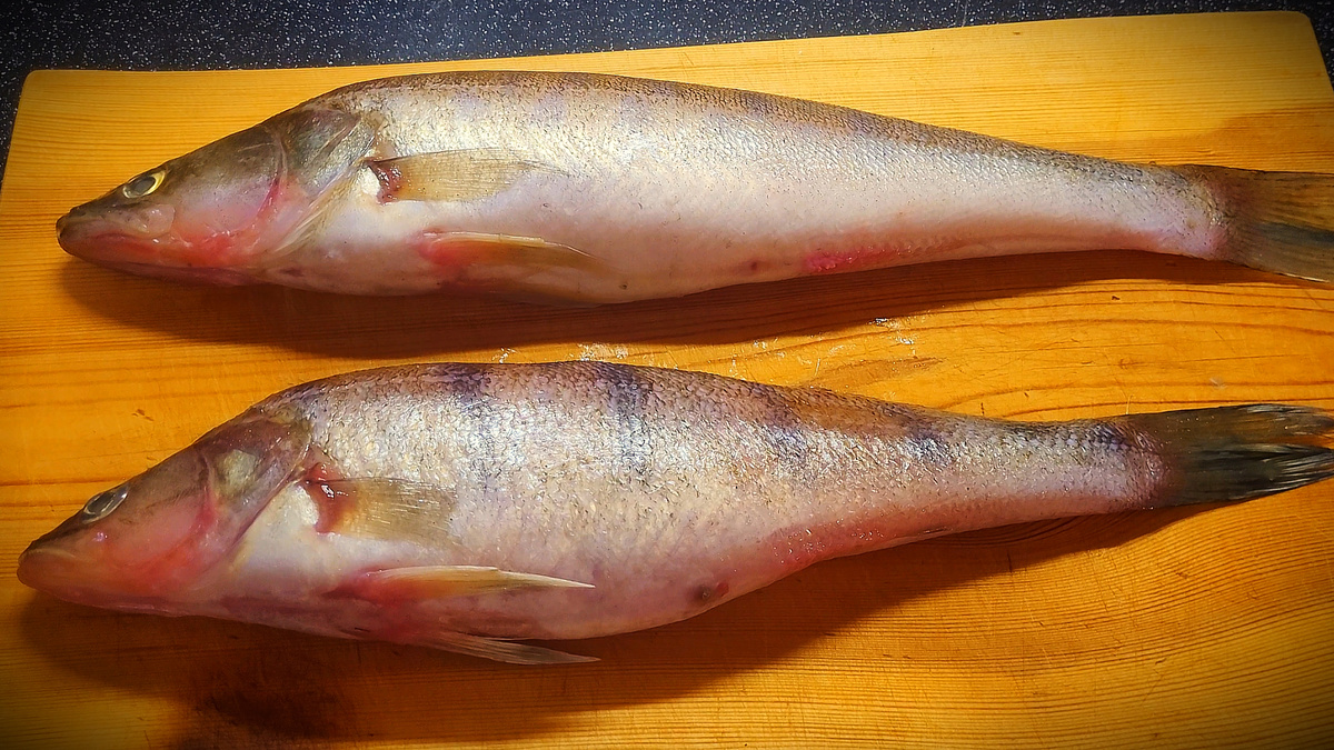 Смотреть в Рутубе: