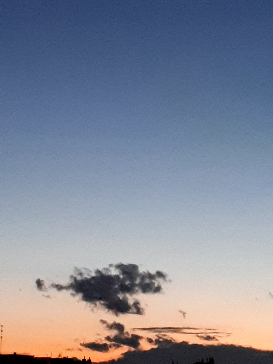 Фото автора 13.08.2025г.