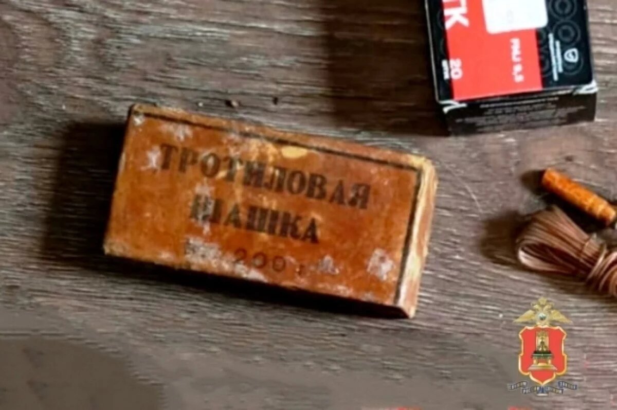    У мужчины, растившим плантацию конопли под Торжком, изъяли тротиловую шашку