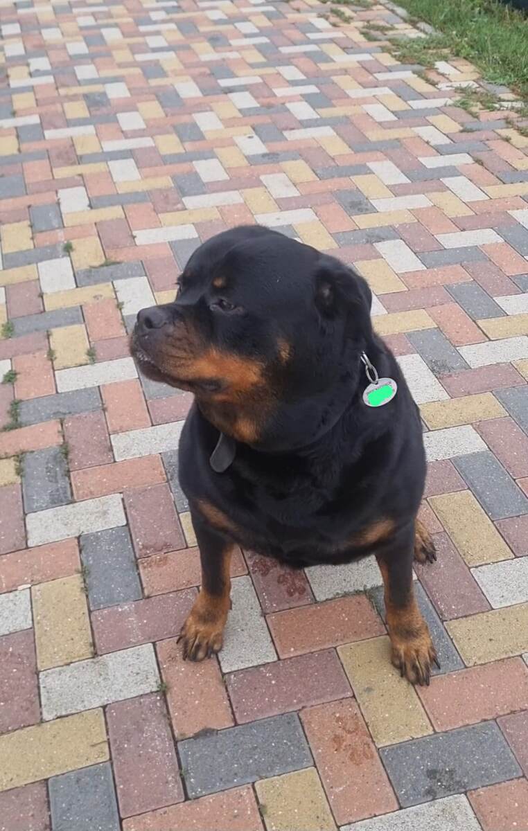 Утренняя прогулка, скоро жара. 