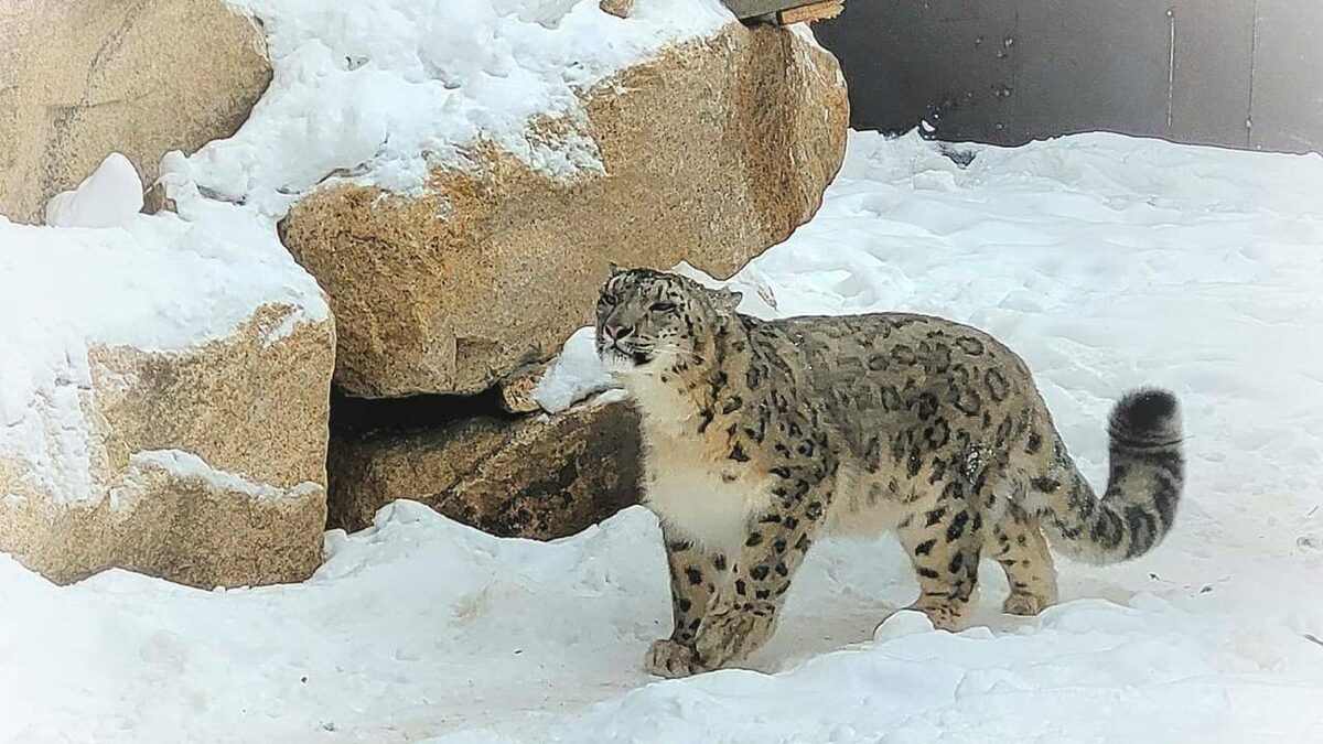 Фото: Телеграм-канал Лилии Галимовой