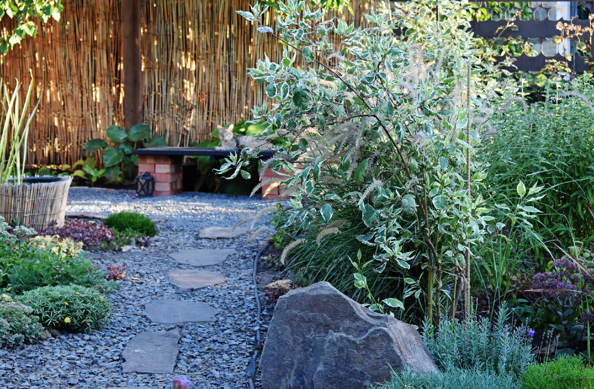 Лавочка родилась!