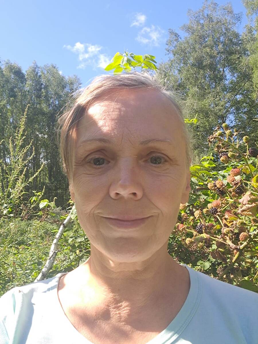 Собираю ежевику.