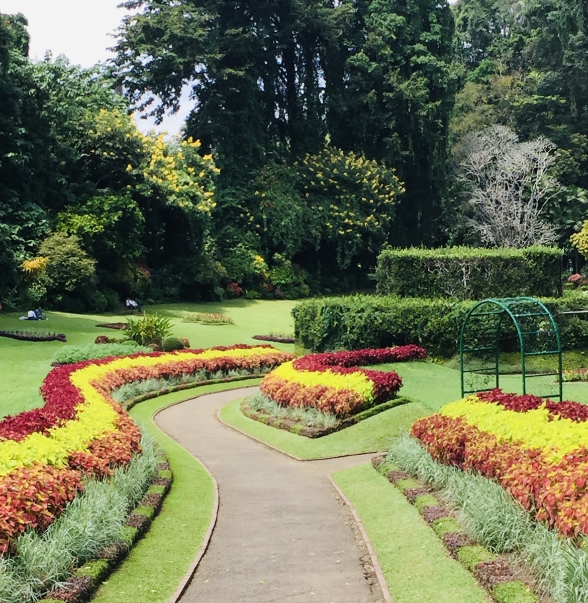 Фото из личного архива автора